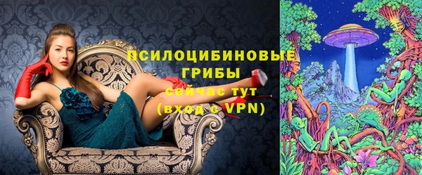 ГАЛЛЮЦИНОГЕННЫЕ ГРИБЫ Абинск