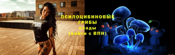 круглые Алексеевка